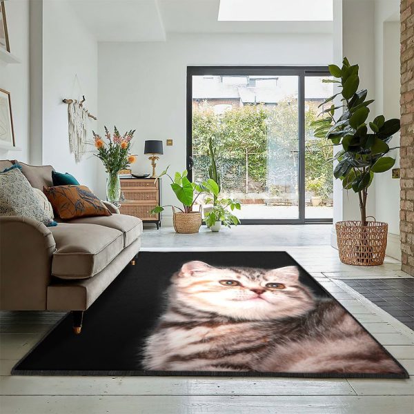 Cat Modern Rugs Cat Rug Rectangle Rugs Washable Area Rug Non-Slip Carpet For Living Room Bedroom - Image 2