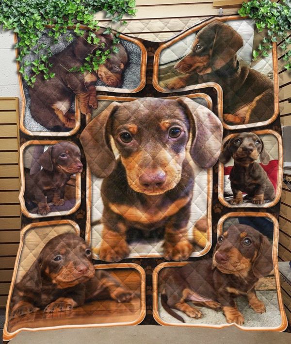 3D Dachshund Dogs Chocolate Gift For Dog Lovers Quilt Blanket